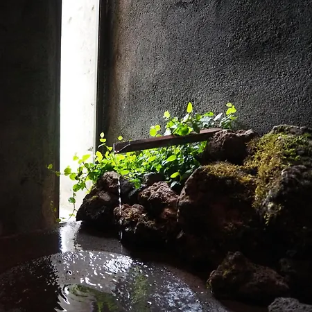 Les Cols Pavellons